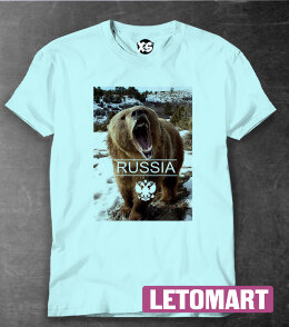 Футболка принт с медведем Russia